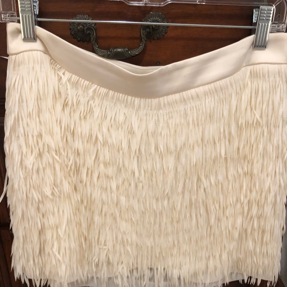 Express skirt
